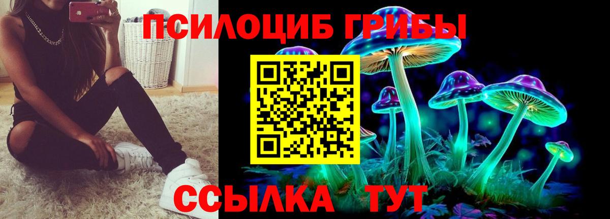 Галлюциногенные грибы GOLDEN TEACHER  Псилоцибиновые грибы Psilocybine cubensis  Фролово  Вход с VPN 